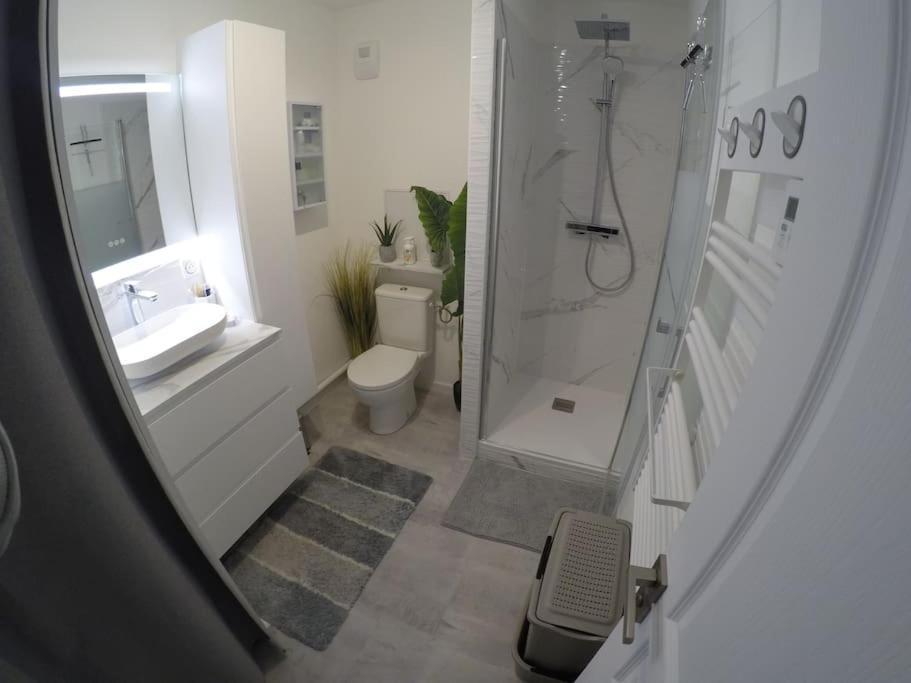 Appartement T3 Proche De Saumur Bagian luar foto